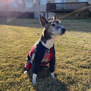 Meet your Posher, Nick